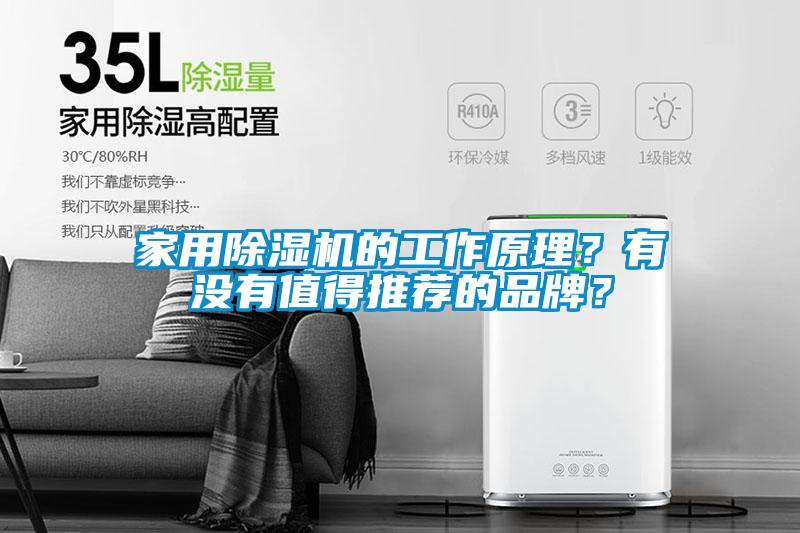 家用除濕機的工作原理？有沒有值得推薦的品牌？