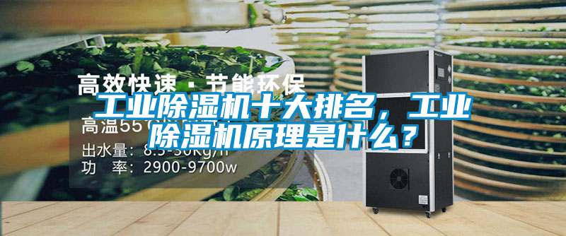 工業(yè)除濕機(jī)十大排名，工業(yè)除濕機(jī)原理是什么？