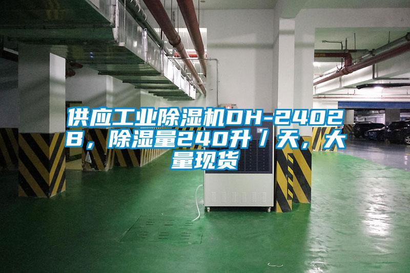 供應(yīng)工業(yè)除濕機(jī)DH-2402B，除濕量240升／天，大量現(xiàn)貨