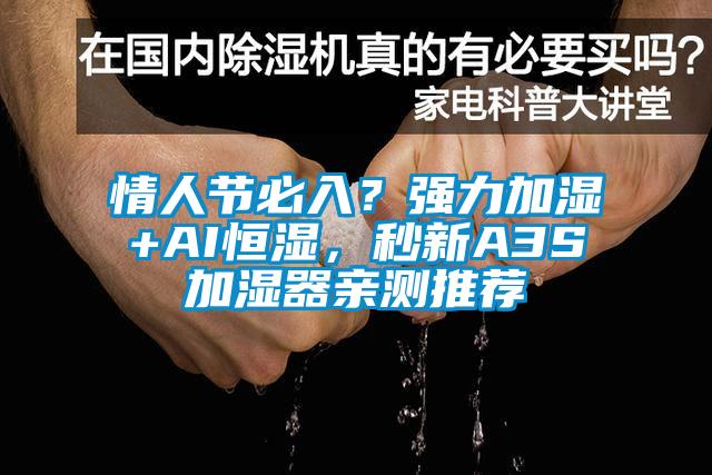 情人節必入？強力加濕+AI恒濕，秒新A3S加濕器親測推薦