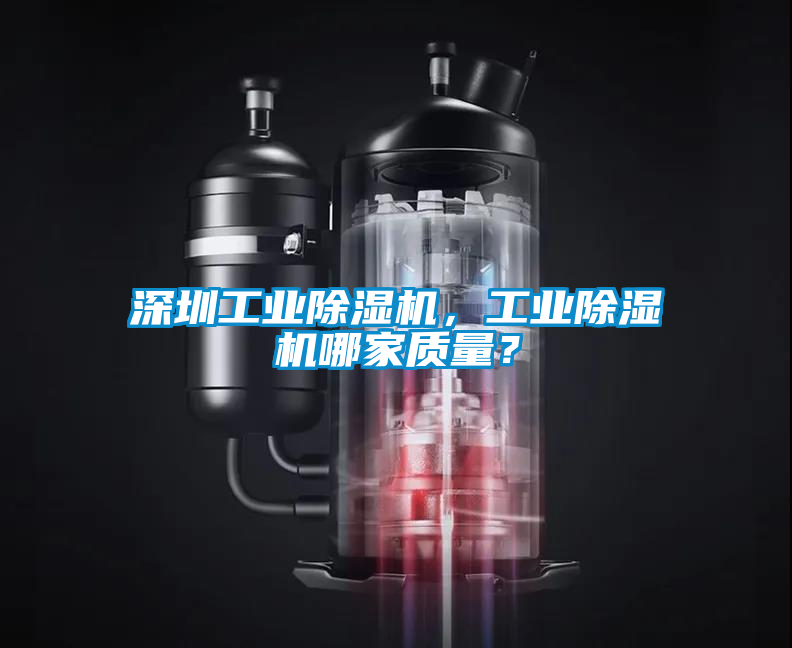 深圳工業(yè)除濕機，工業(yè)除濕機哪家質(zhì)量？