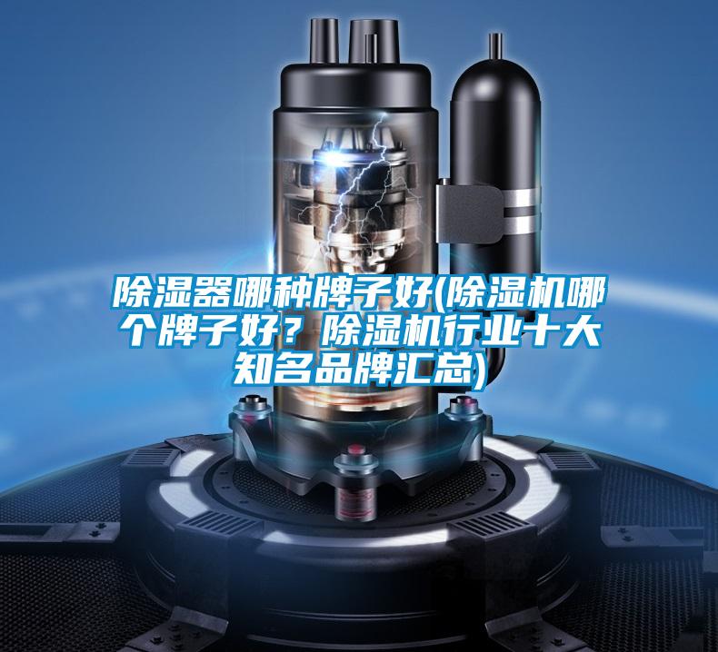 除濕器哪種牌子好(除濕機哪個牌子好?除濕機行業十大知名品牌匯總)