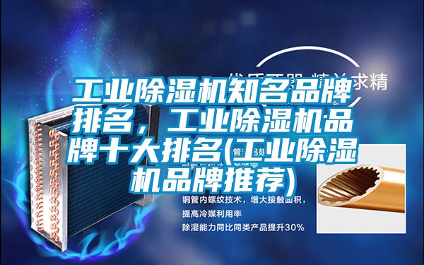 工業(yè)除濕機(jī)知名品牌排名，工業(yè)除濕機(jī)品牌十大排名(工業(yè)除濕機(jī)品牌推薦)
