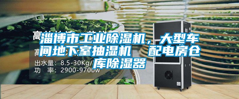 淄博市工業除濕機,大型車間地下室抽濕機 配電房倉庫除濕器