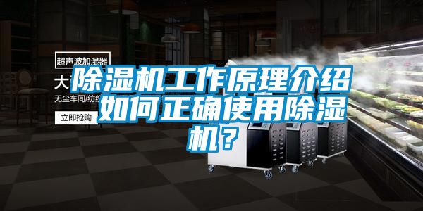 除濕機工作原理介紹 如何正確使用除濕機？