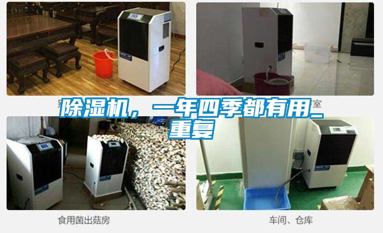 除濕機，一年四季都有用_重復