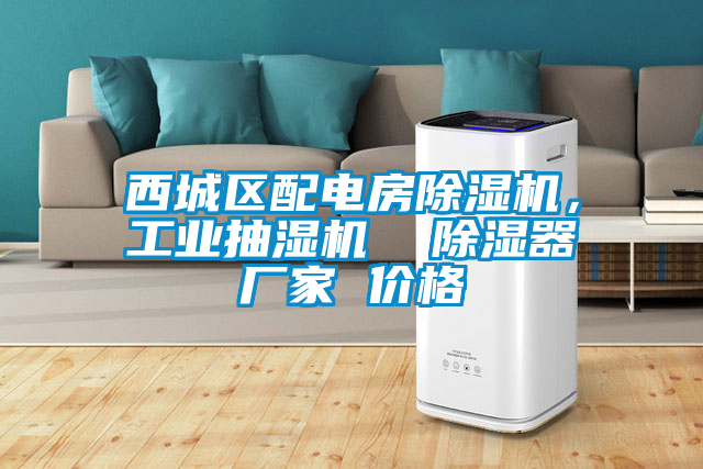 西城區(qū)配電房除濕機(jī)，工業(yè)抽濕機(jī)  除濕器廠家 價(jià)格