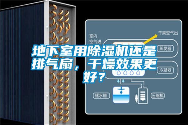 地下室用除濕機還是排氣扇，干燥效果更好？