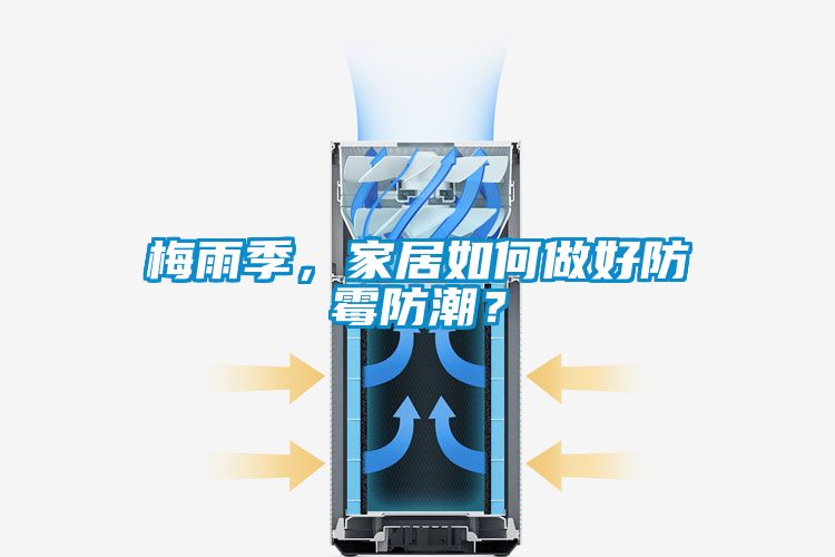 梅雨季，家居如何做好防霉防潮？