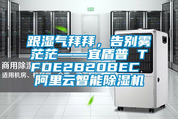 跟濕氣拜拜，告別霧茫茫——宜盾普 TFDE2B20BEC 阿里云智能除濕機