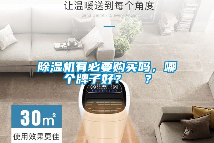除濕機有必要購買嗎，哪個牌子好？  ？