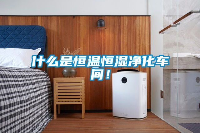 什么是恒溫恒濕凈化車(chē)間！