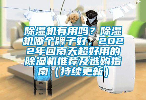 除濕機有用嗎？除濕機哪個牌子好，2022年回南天超好用的除濕機推薦及選購指南（持續更新）