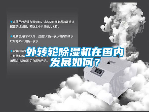 外轉(zhuǎn)輪除濕機(jī)在國內(nèi)發(fā)展如何？