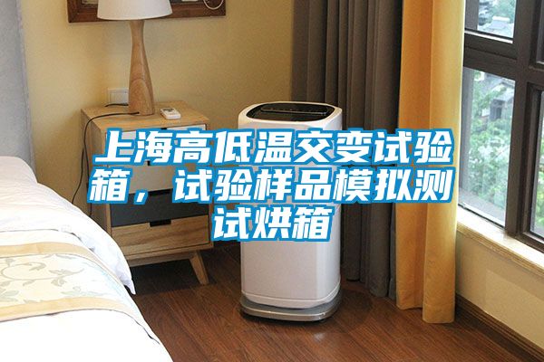 上海高低溫交變試驗(yàn)箱，試驗(yàn)樣品模擬測試烘箱