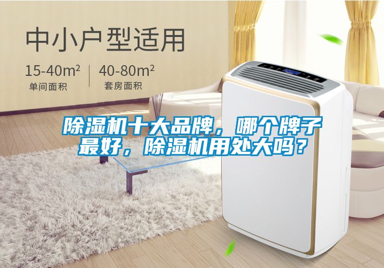 除濕機十大品牌，哪個牌子最好，除濕機用處大嗎？