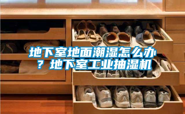 地下室地面潮濕怎么辦？地下室工業(yè)抽濕機