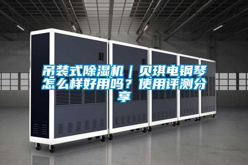 吊裝式除濕機(jī)｜貝琪電鋼琴怎么樣好用嗎？使用評(píng)測(cè)分享