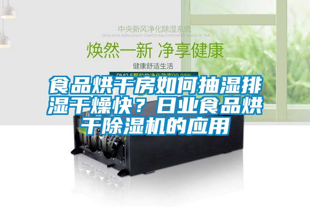 食品烘干房如何抽濕排濕干燥快？日業食品烘干除濕機的應用