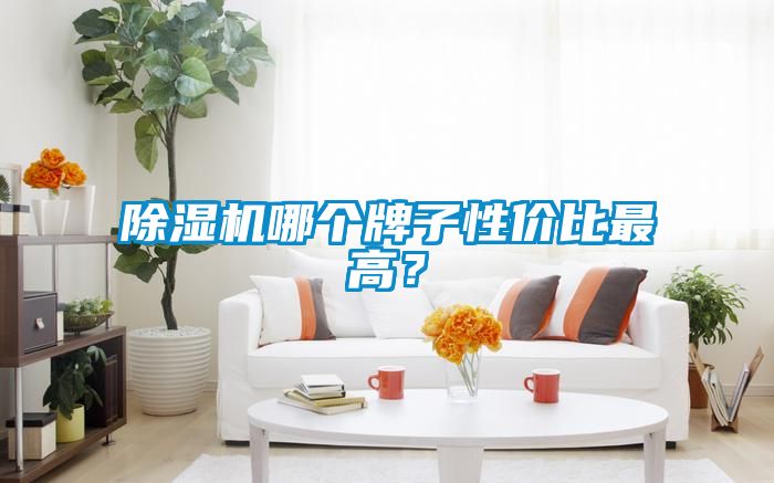 除濕機哪個牌子性價比最高？