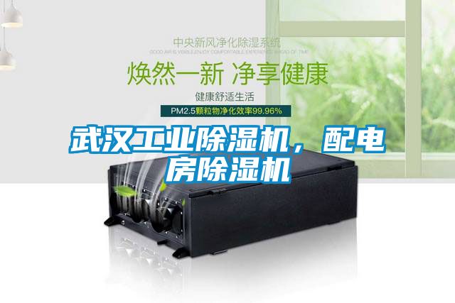 武漢工業除濕機，配電房除濕機