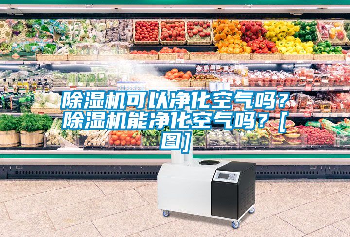 除濕機可以凈化空氣嗎？除濕機能凈化空氣嗎？[圖]
