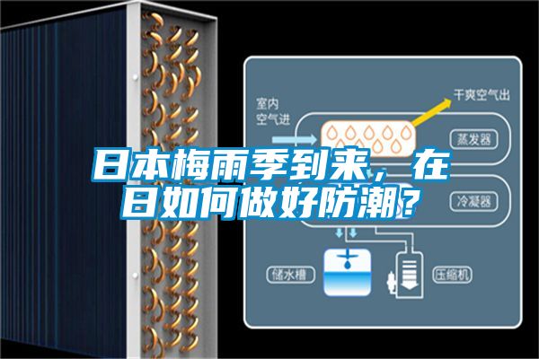 日本梅雨季到來，在日如何做好防潮？
