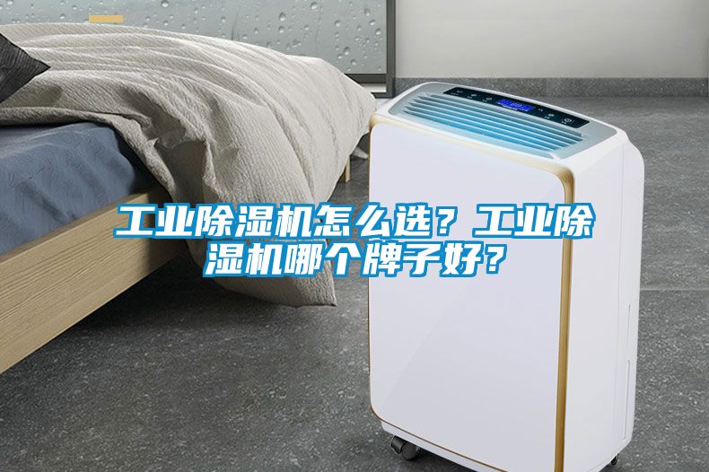 工業(yè)除濕機怎么選？工業(yè)除濕機哪個牌子好？
