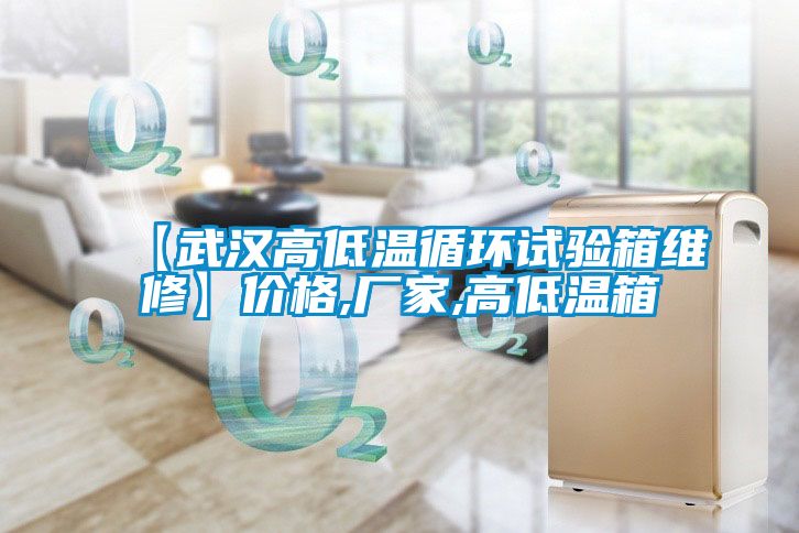 【武漢高低溫循環(huán)試驗(yàn)箱維修】?jī)r(jià)格,廠家,高低溫箱