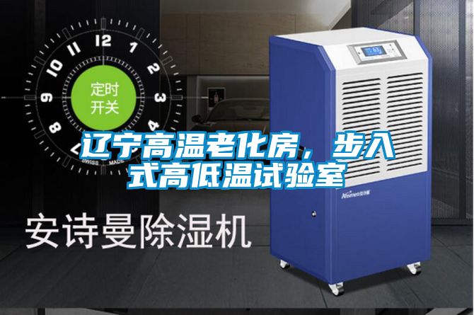 遼寧高溫老化房，步入式高低溫試驗室