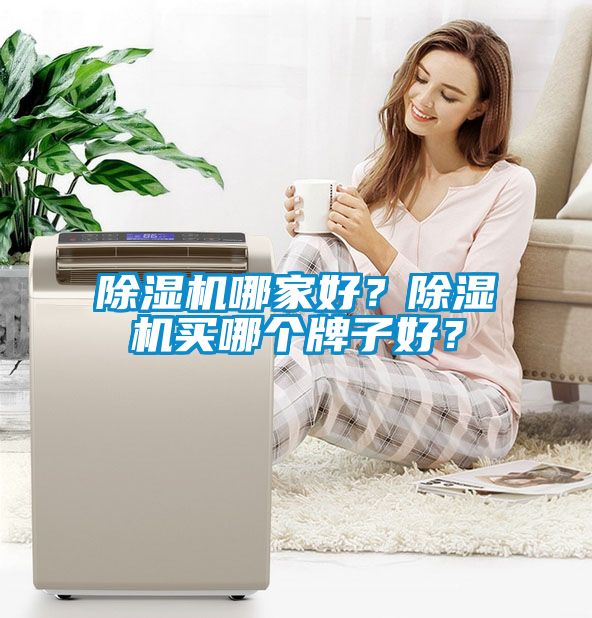除濕機(jī)哪家好？除濕機(jī)買(mǎi)哪個(gè)牌子好？