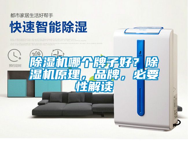 除濕機哪個牌子好？除濕機原理，品牌，必要性解讀