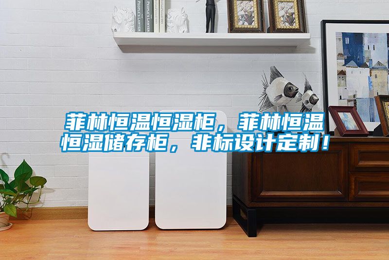菲林恒溫恒濕柜，菲林恒溫恒濕儲存柜，非標設計定制！