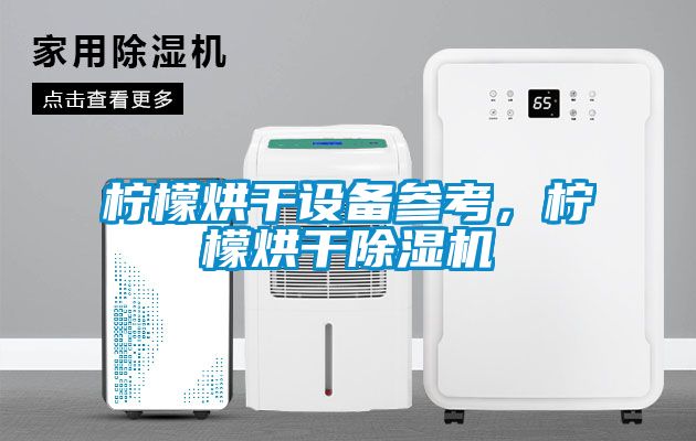 檸檬烘干設備參考，檸檬烘干除濕機