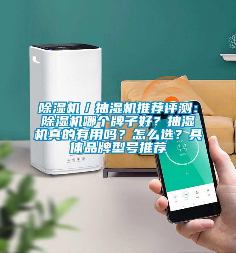 除濕機／抽濕機推薦評測：除濕機哪個牌子好？抽濕機真的有用嗎？怎么選？具體品牌型號推薦