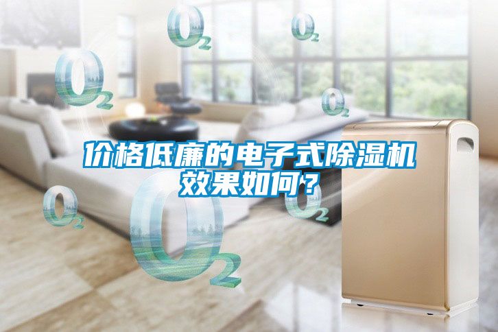 價格低廉的電子式除濕機(jī)效果如何？