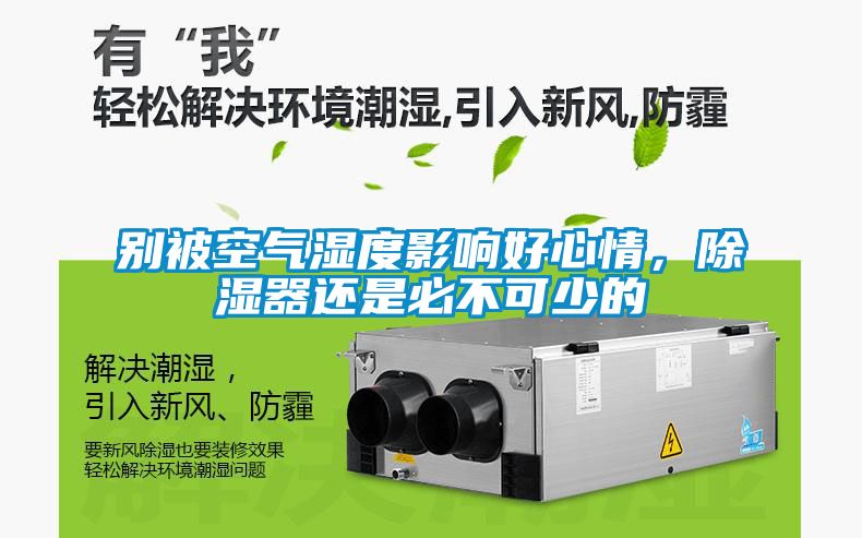 別被空氣濕度影響好心情，除濕器還是必不可少的