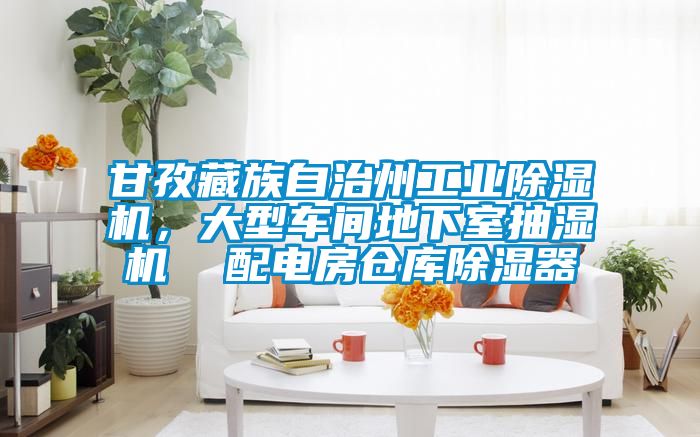 甘孜藏族自治州工業除濕機，大型車間地下室抽濕機  配電房倉庫除濕器