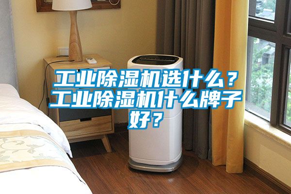 工業(yè)除濕機(jī)選什么？工業(yè)除濕機(jī)什么牌子好？