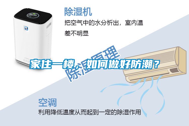 家住一樓，如何做好防潮？