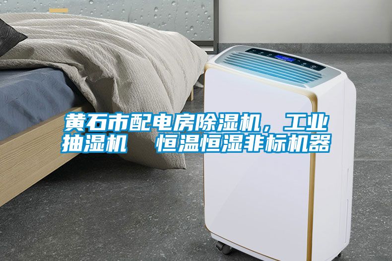 黃石市配電房除濕機，工業抽濕機  恒溫恒濕非標機器